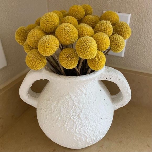 10 STEMS Dried Flowers Craspedia Billy Balls - Picture 11 of 11